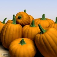 Pumpkins3d model