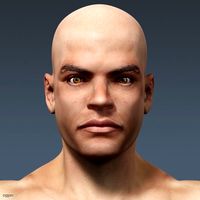 Human Male Body and Nervous System Textured - Anatomy3d model