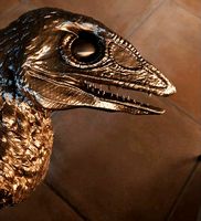 Feathered dinosaur head -- velocirator -- wall mounting by Nebetbastet