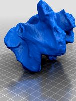 My Scan 17 by arielferr81