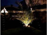 Pflanzenbeleuchtung - Plant Light by BeeJaY2784