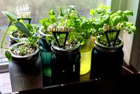 Plant Tags - Dual Color by neenerz
