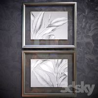 Floating Leaves pictures