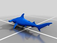 hammerhead shark by Davidrecio