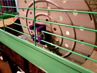 Pet Exercise Wheel Cage Bracket by Scooterbot