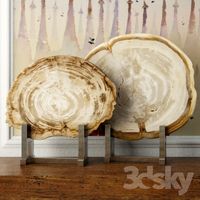 White Petrified Wood Slices