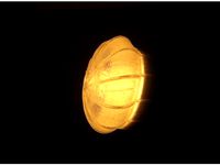 Lamp shade by Caminos_De_Fuego