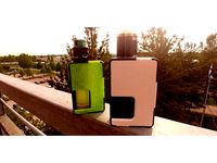 Pulse 80W Box Mod Doors by Marce_