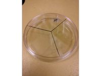 Petri Dish Divider by codyfell