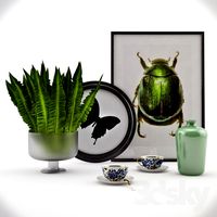 Still life with green beetle