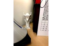 Larynx stand by guttyr
