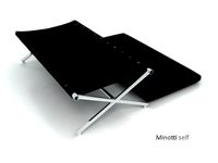 Minotti Self