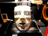 Mask with Raspi Eyes by davebpix
