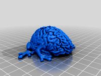 Leaping Brain by Flashhawk