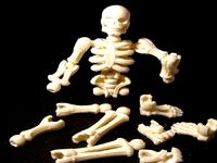 Build your own skeleton by Matthewkaye