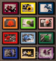 Photos of flowers in colored mat