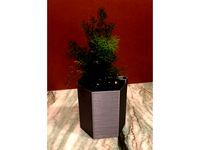 Self-Watering Planter by joewing