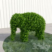 Slonchik - topiary