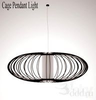 cage pendant light