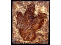 Footprint Tyrannosaurus_Rex by adv51