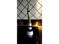 Vase with a leek by Minus-designs