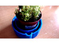 Plant Pod for Carnivorous Plant by Crimo