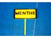 Panneau potager Menthe by Bricoloup