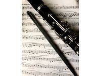 Clarinet Cleaner by CD_FER