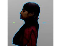 3D Scan of Hansa Mehra by jmoontech