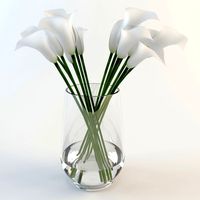 Calla lilies in a vase