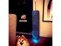 World trade center Twin towers by hugoarchicad