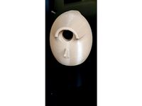 Easy Print Bird Box by nigelayres