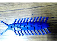 Centipede by dendad51