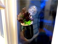 Hanging Mason Jar Window Planter by MechEngineerMike