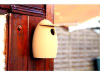 Bird house by jf3d