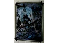 Picture Frame Corners by King_Bluetooth