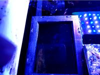 Aquarium feeding ring swimming Neodym by jeracom