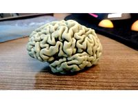My Brain by mluongo91
