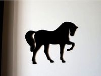 whole horse shadow by catf
