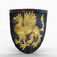weapon shield