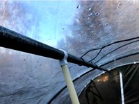 VäxthusKrokar by Flygtur