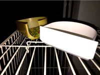 Bird food / water dish by Jigsawbird