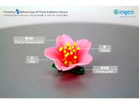 Cherry blossoms / 櫻花 / 桜 / Flowers / Sakura by Anthonylu