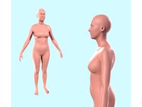 Stamat - Almost Average Female Body - Scale 1:2 by gefrix