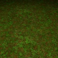 Ground grass tile 10 texture 3D Model