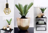 Decorative set 3D Model