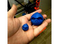 Druplicon by Graloth