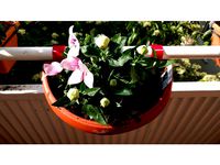 Customizable planter holders by larsrc