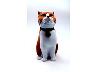 SCHRODINKY! BLANK CAT COLLAR MEDAL by loubie