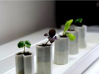 Tiny self-watering planter  by kumekay